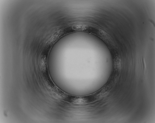 X0000103400460200809191526