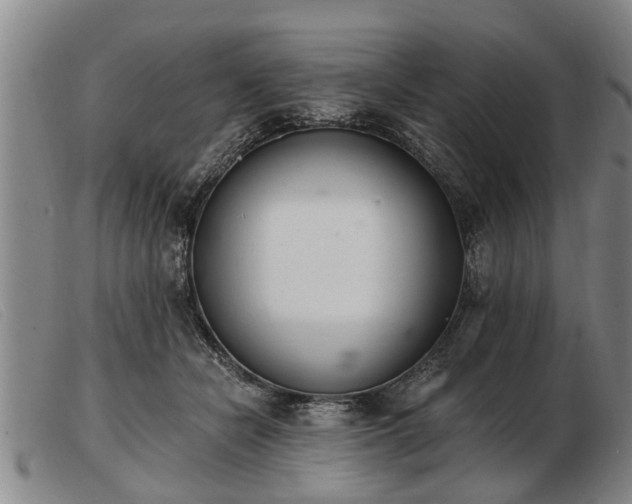 X0000103400462200809191526