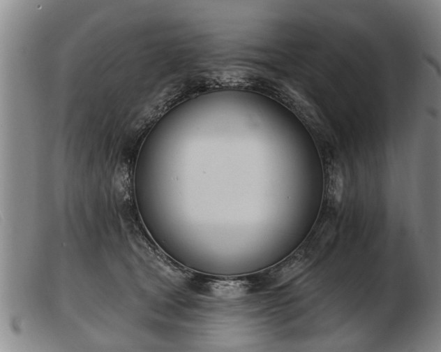 X0000103400465200809191526