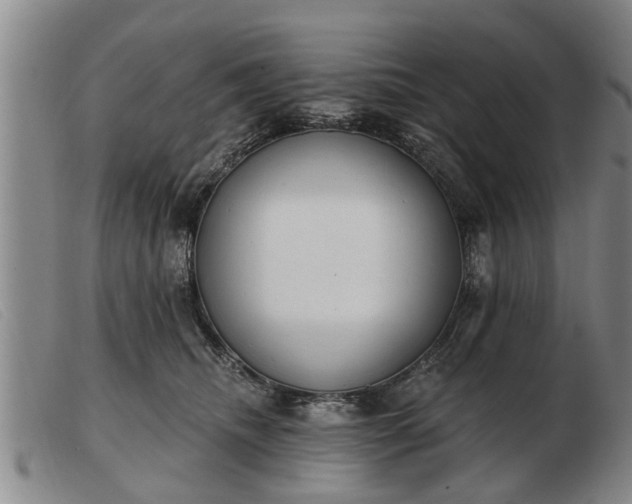 X0000103400468200809191526