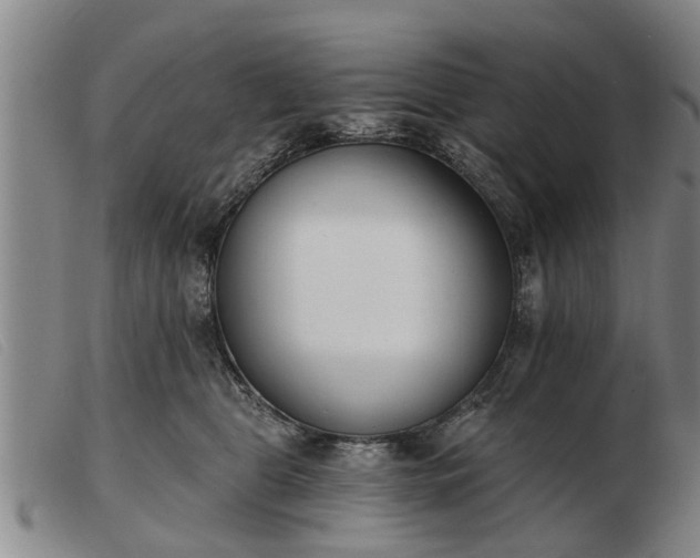 X0000103400469200809191526