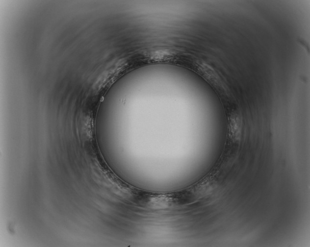 X0000103400470200809191526