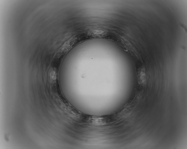 X0000103400472200809191526