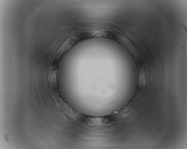 X0000103400473200809191526