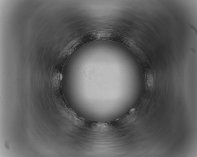 X0000103400475200809191526