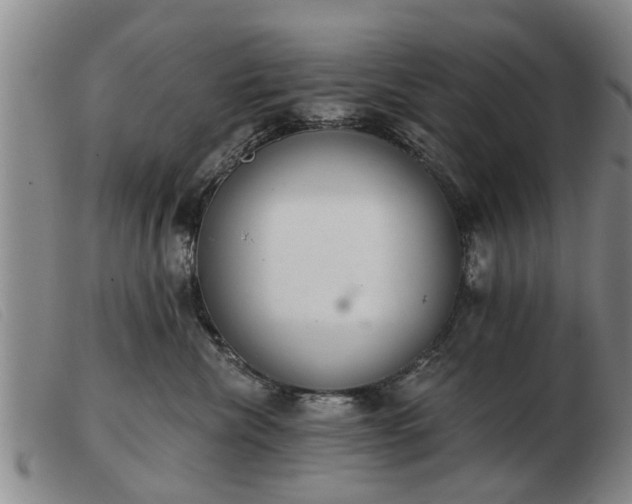 X0000103400476200809191526