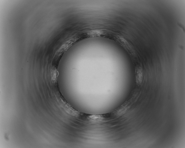 X0000103400477200809191526