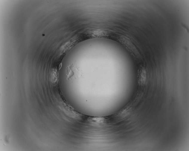 X0000103400478200809191526