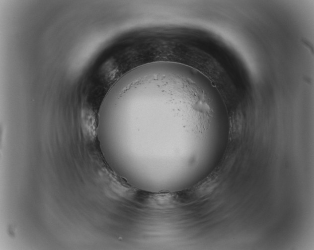 X0000103400479200809191526