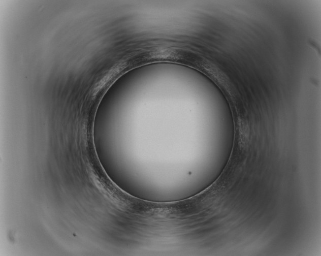 X0000103400482200809191525