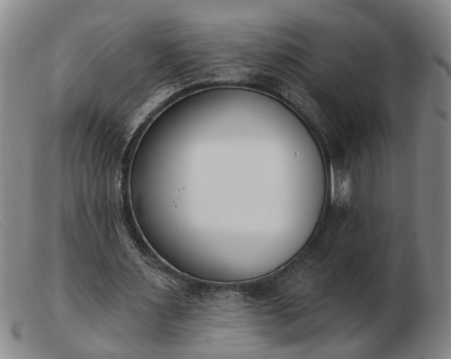 X0000103400483200809191525