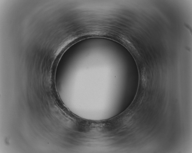 X0000103400484200809191525