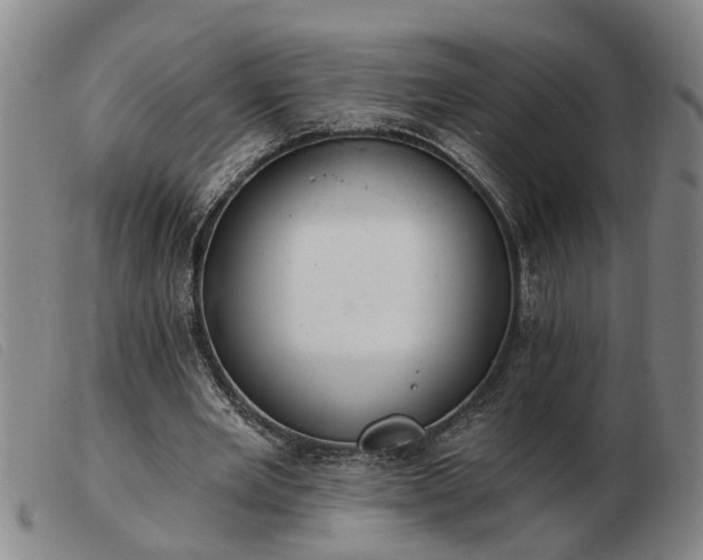 X0000103400485200809191525