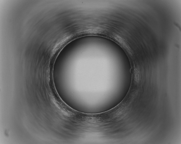 X0000103400486200809191525