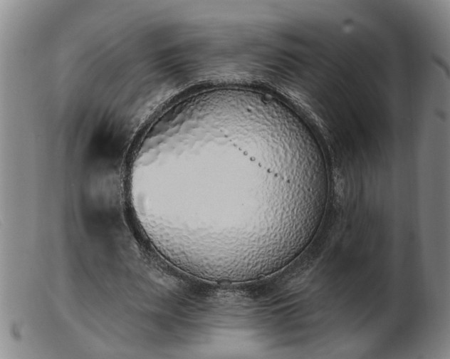 X0000103400487200809191525