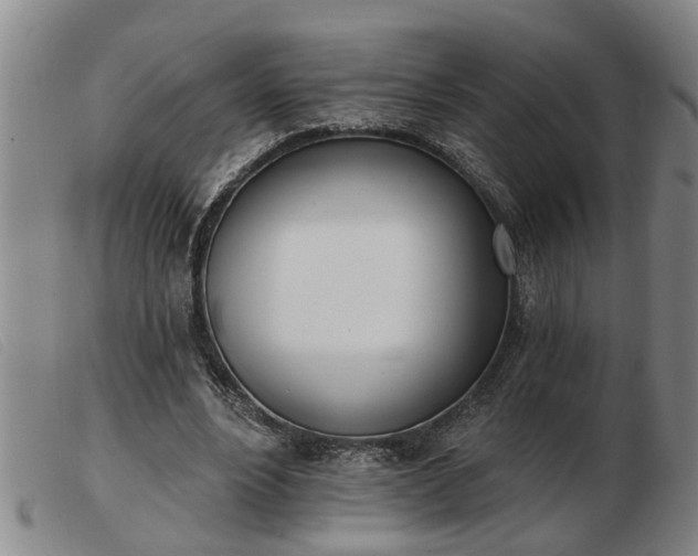 X0000103400488200809191525