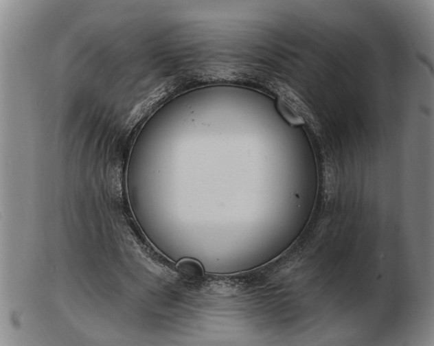 X0000103400489200809191525