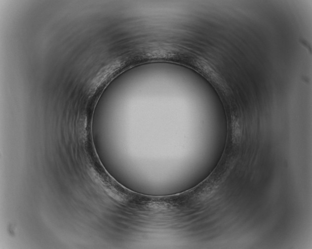 X0000103400490200809191525