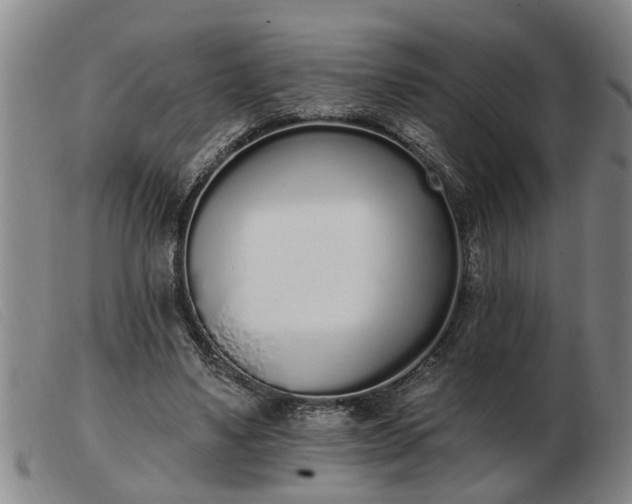 X0000103400491200809191525