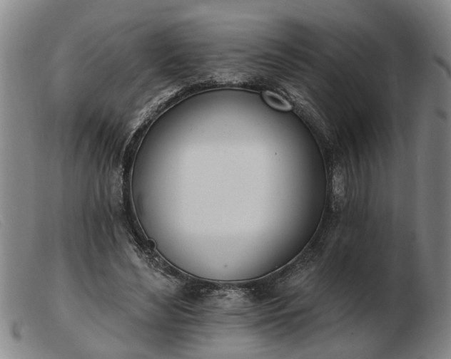 X0000103400492200809191525