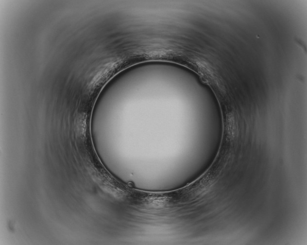 X0000103400495200809191525