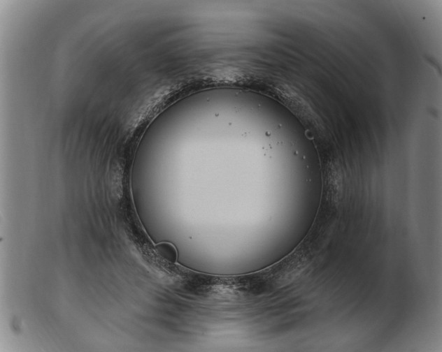 X0000103400496200809191525