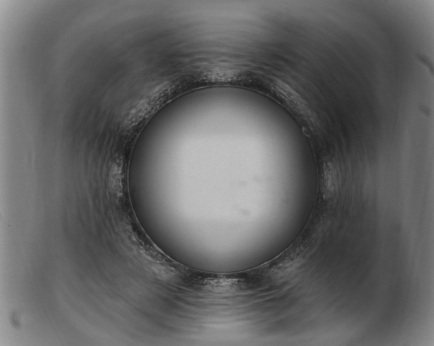 X0000103400497200809191525