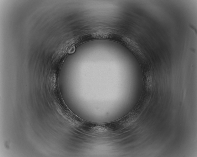 X0000103400498200809191525