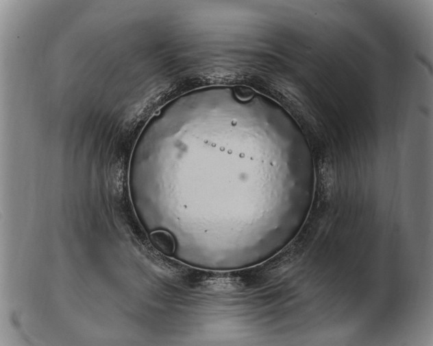 X0000103400499200809191525