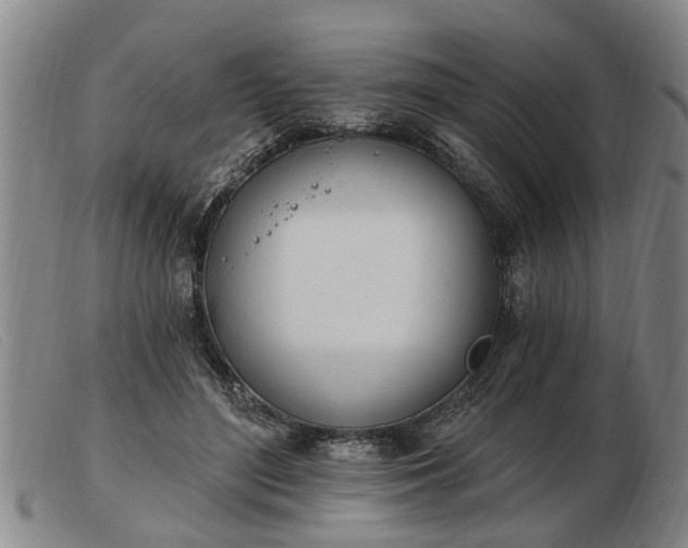 X0000103400500200809191525