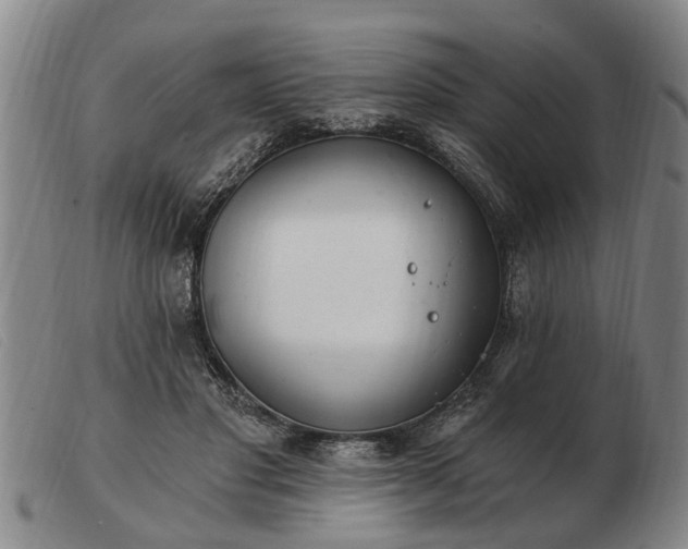 X0000103400501200809191525