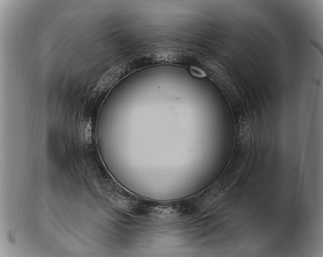 X0000103400502200809191525