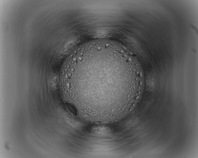 X0000103400503200809191525