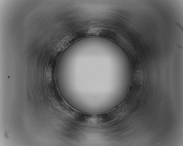 X0000103400504200809191525