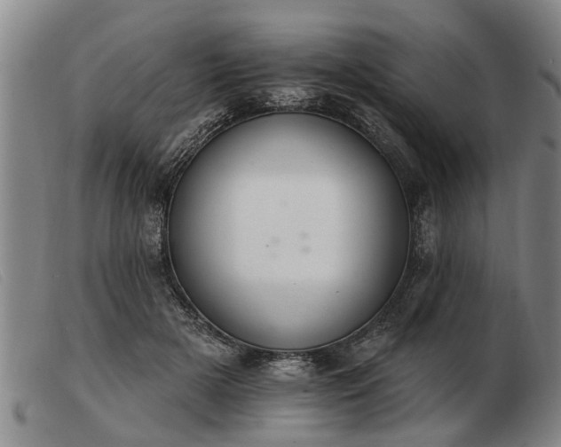 X0000103400505200809191525