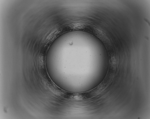 X0000103400506200809191525