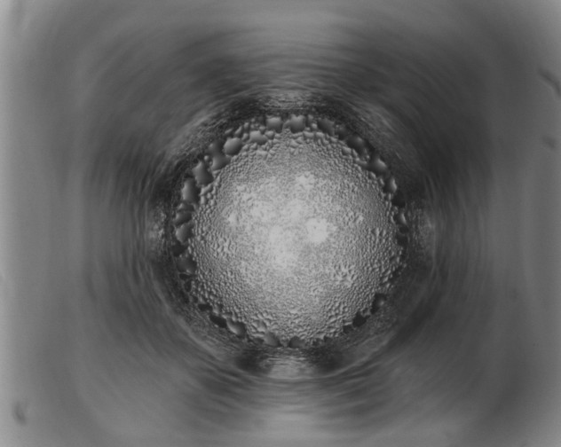 X0000103400507200809191525