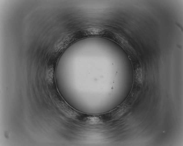 X0000103400509200809191525