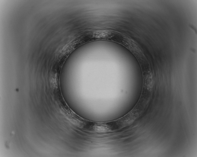 X0000103400510200809191525