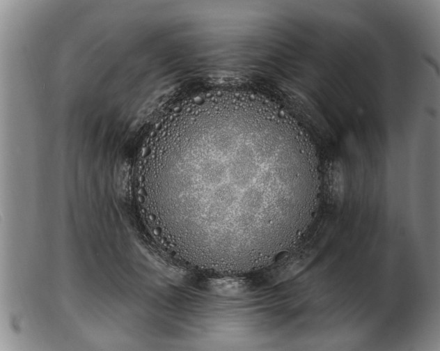 X0000103400511200809191525