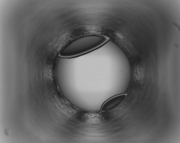 X0000103400512200809191525