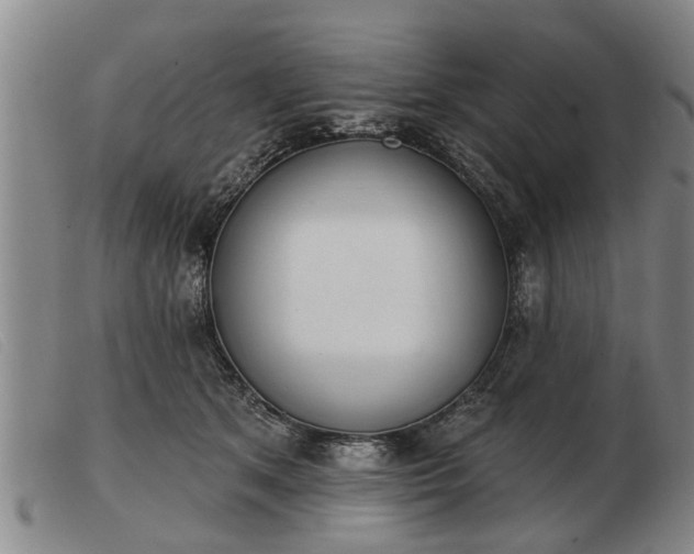 X0000103400513200809191525