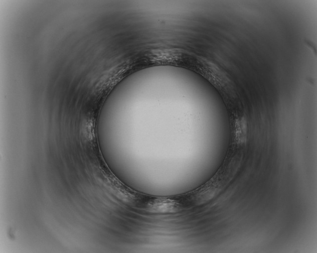 X0000103400514200809191525