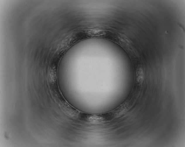 X0000103400515200809191525