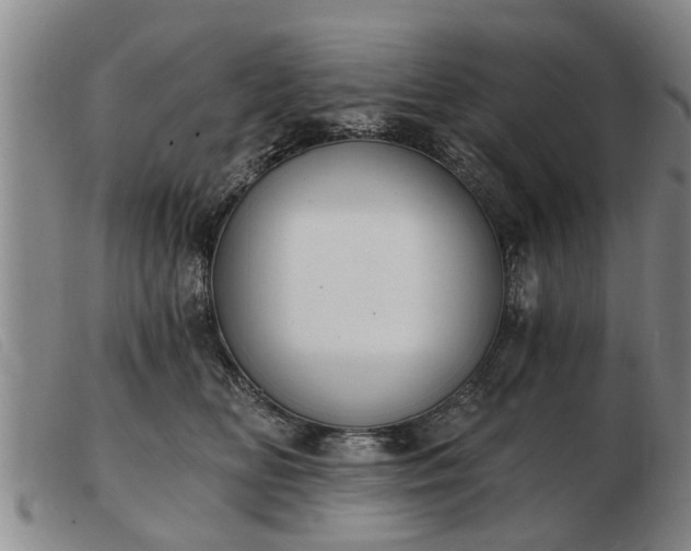 X0000103400518200809191525