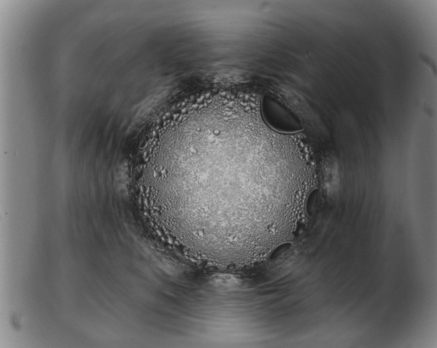 X0000103400519200809191524