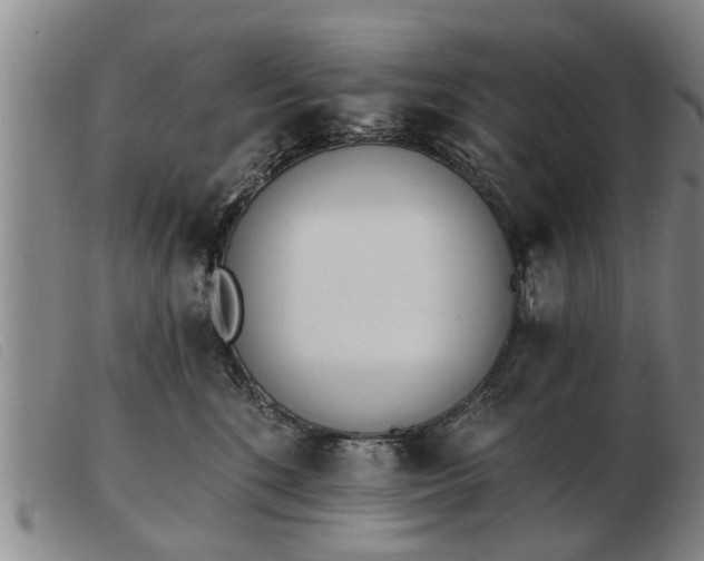 X0000103400520200809191524