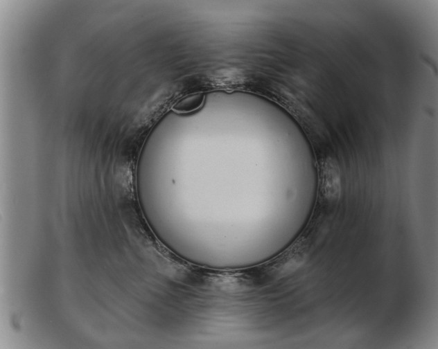 X0000103400523200809191524