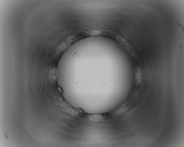 X0000103400525200809191524