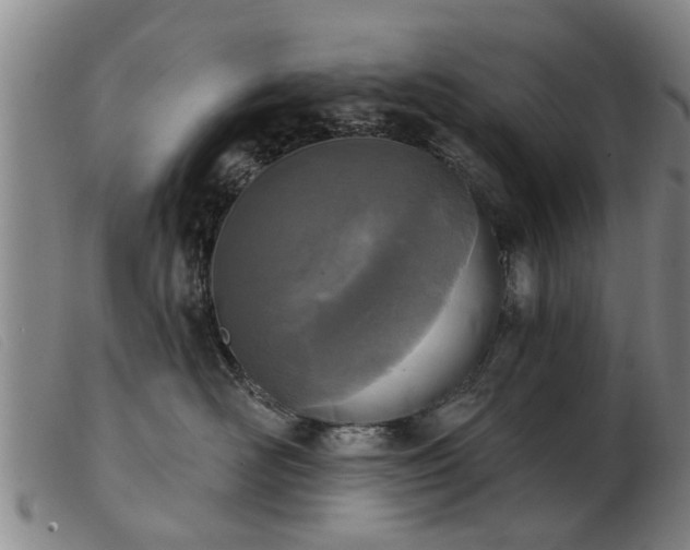 X0000103400526200809191524